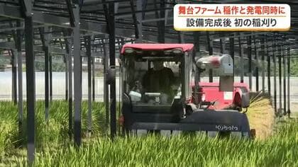 水田に太陽光パネル４０００枚　国内最大級の「営農型太陽光発電」　美里町で初の稲刈りが行われる〈宮城〉
