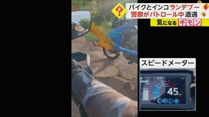 【時速45kmのランデブー】パトロールに同行！？　警察官バイクと並走するインコ…正体は絶滅危惧種　ブラジル
