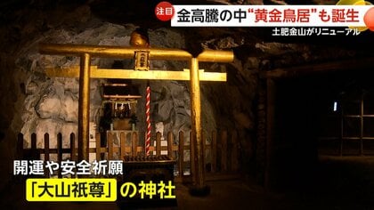 金のパワーもらえそう」50本ズラリ「黄金鳥居」が話題…伊豆・土肥金山