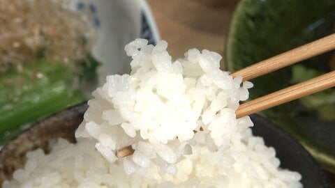 ついに「1000円台」新米求め長い行列　定食店“おかわり無料”復活で客足戻る　コンビニおにぎりもお得に