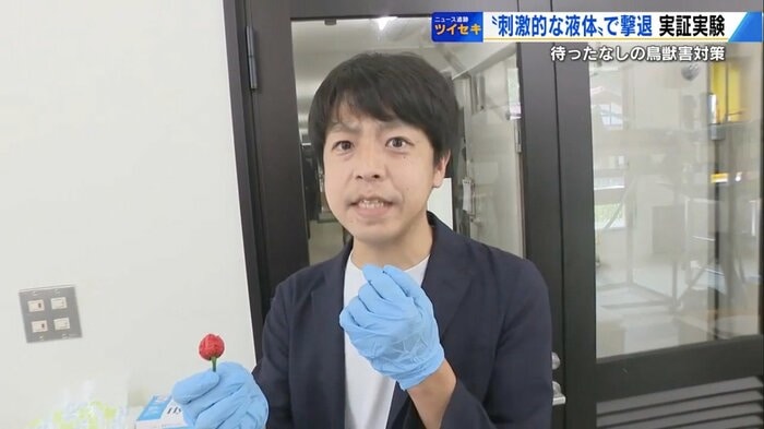 生産者立ち合いのもと安全に配慮して辛さを体験する五十川記者