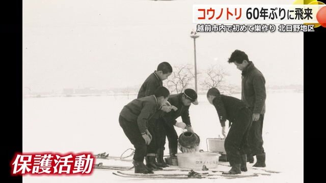 住民らがコウノトリの保護に立ち上がった