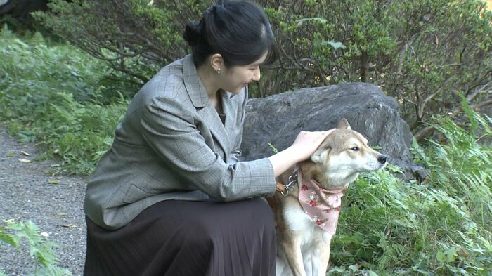 愛犬「由莉」をなでられる愛子さま(11月14日)