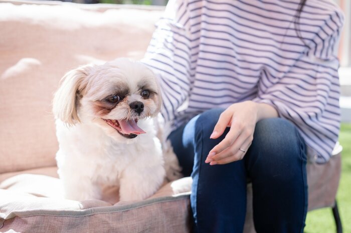 コミュニケーションが好きな犬は注意(画像はイメージ)