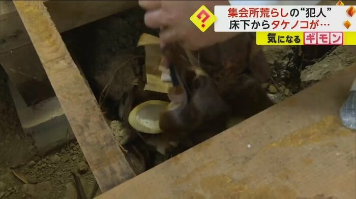タケノコの撤去作業をする集会所の管理担当者ら