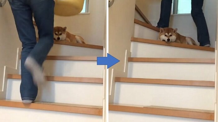 階段の途中で動かない。またいで上る