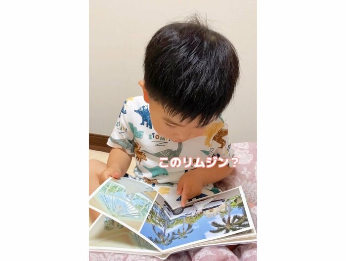 提供:今日のきょーちゃん
