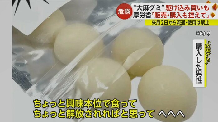 “興味本位で初めて買った”という