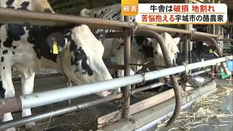牛舎に被害、牛たちの様子に変化 「これを機会にやめるのも…」苦悩抱える被災地の酪農家【令和8年熊本地震】|FNNプライムオンライン