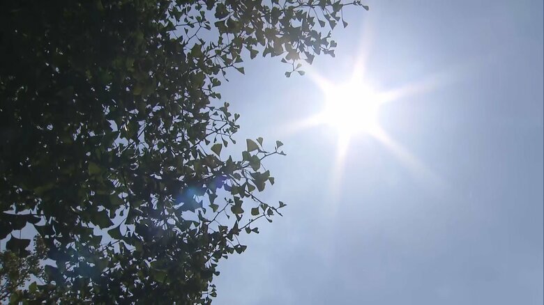 あと2カ月は最高気温30℃超か… いつになったら“真夏”じゃなくなる？ 主要都市を徹底リサーチ｜FNNプライムオンライン
