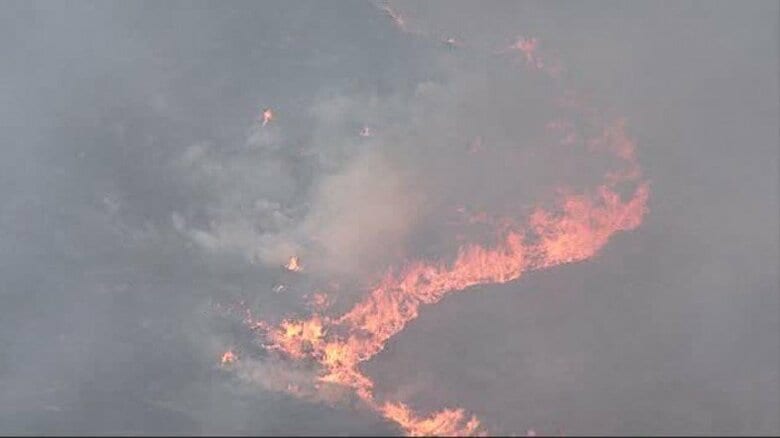 【速報】炎と煙が広がる　福津市で枯れ草など焼く火事　当時は強風・乾燥注意報が発表中　消防が消火活動続ける　福岡｜FNNプライムオンライン