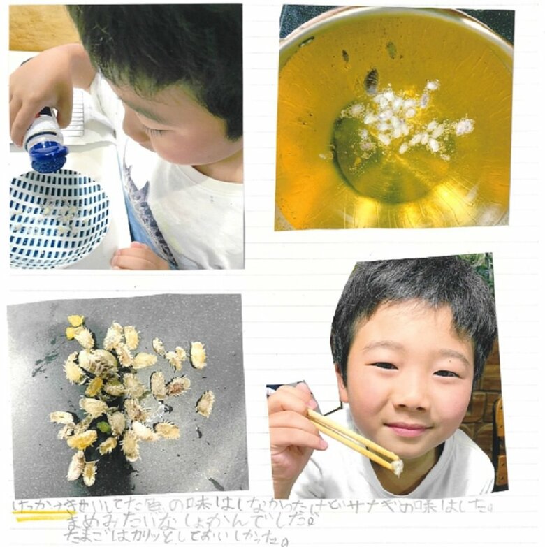 きせい虫ってどんな味?素揚げにして実食