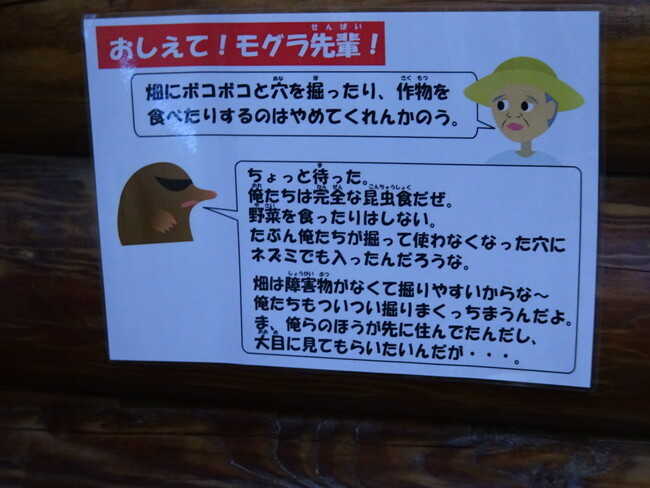 Q&Aの1枚。確かに他の人と比べ、お年寄りの質問にはいくぶんマイルドな口調に…。