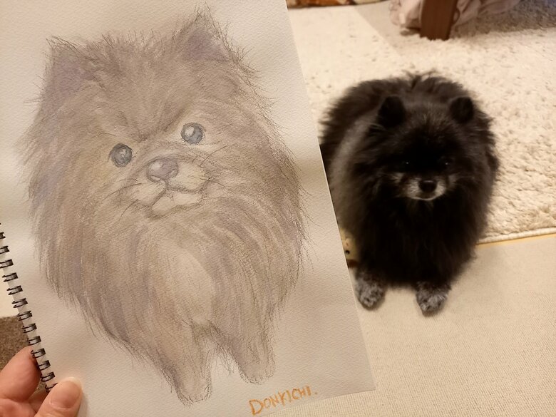 どん吉くんの水彩画