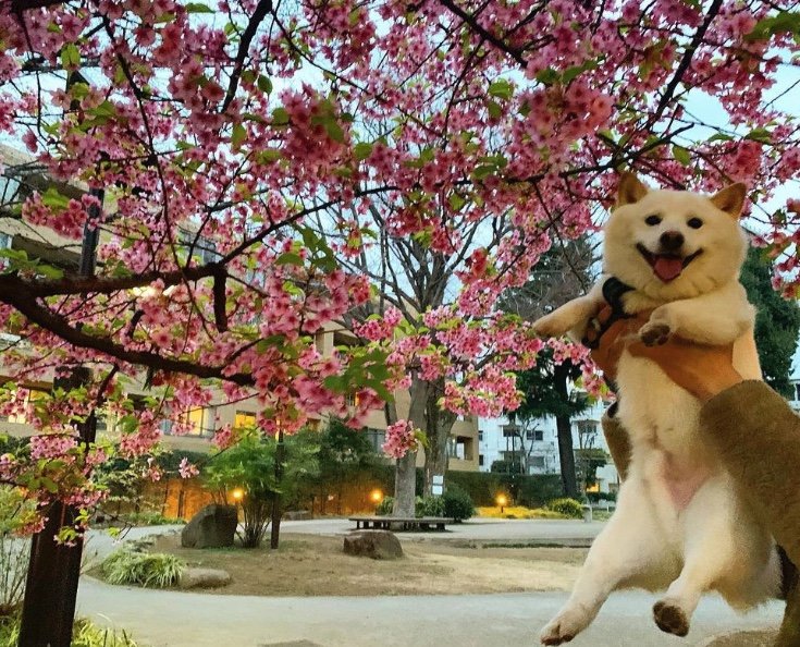 提供：ラッキーさん