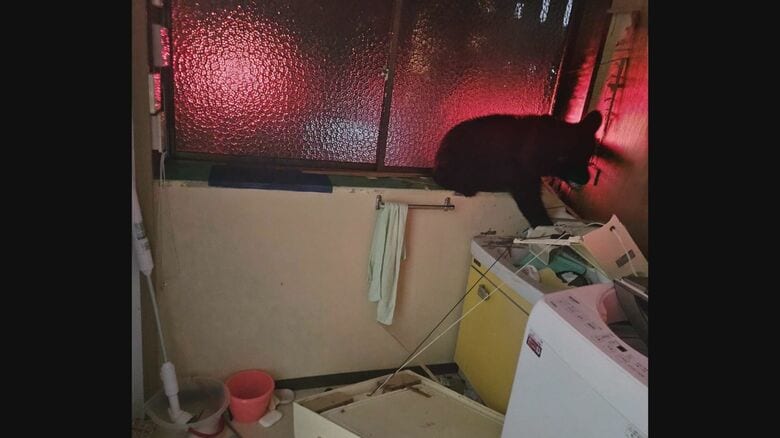 画像提供：鈴木紀夫さん