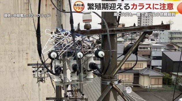 ハンガーなどで作った巣