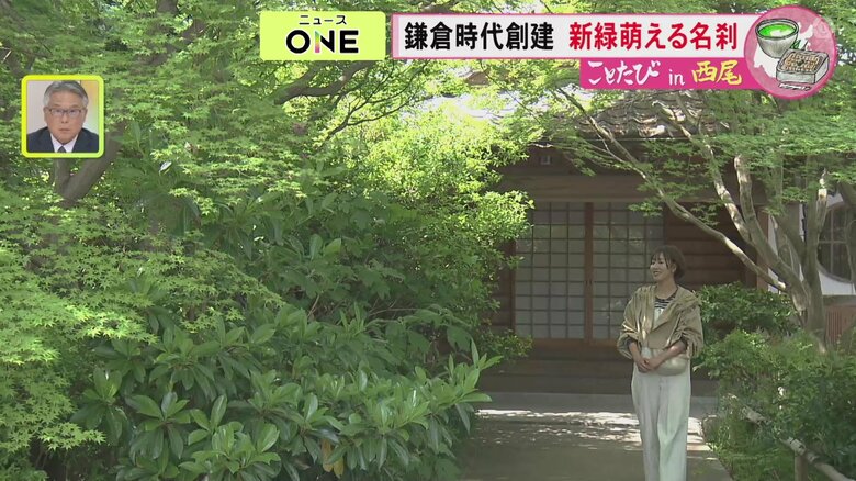 ニュースONE