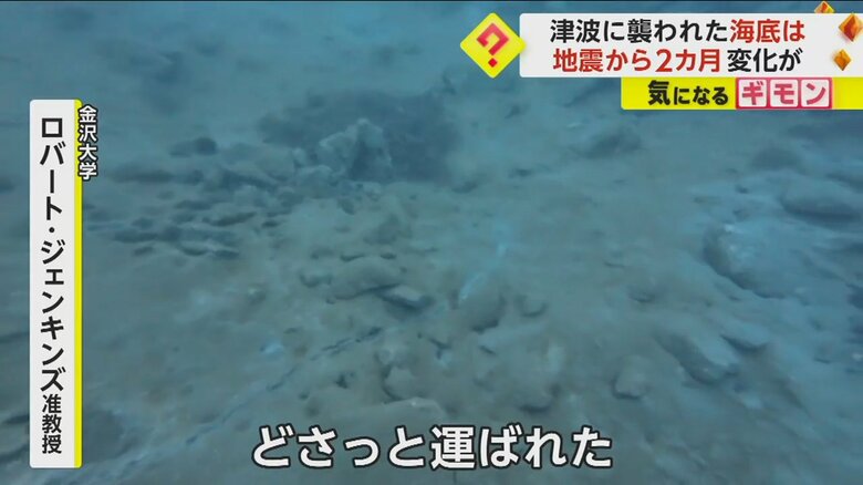 「れき」と呼ばれる岩などが積み重なっている九十九湾の海底