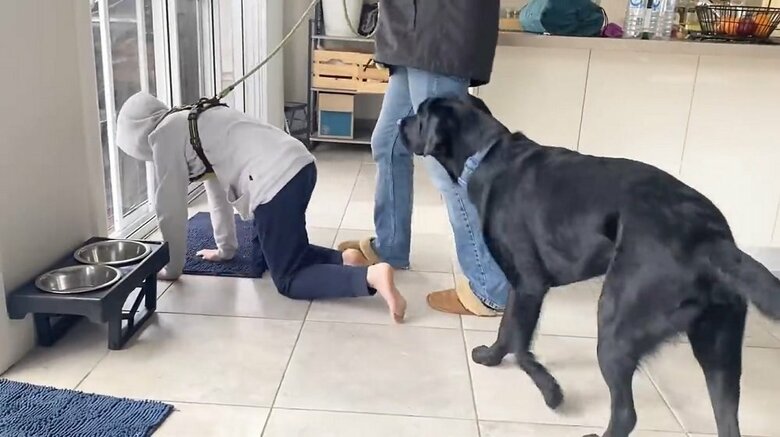 ハーネスを装着して出かける長男「待ってよ」追いかけるえんぞうくん