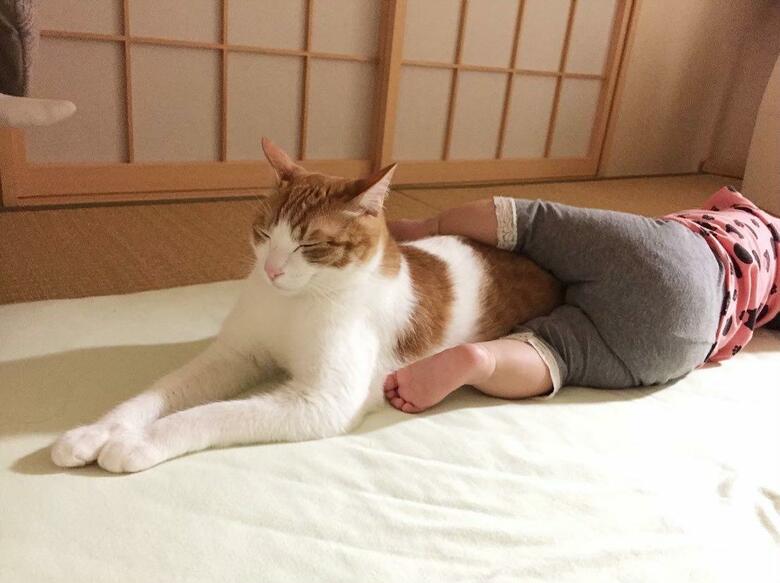 息子くんのお姉ちゃんが小さい頃もそばにいたはっさくくん（提供：Hassakuさん）