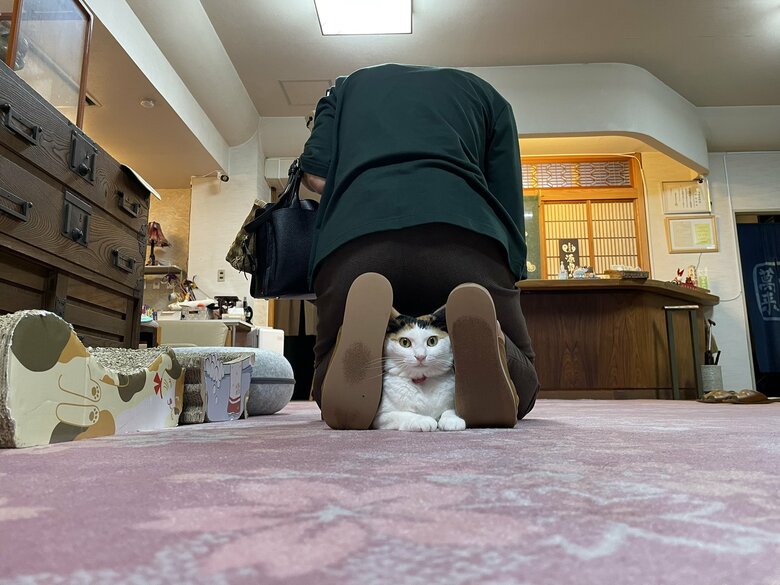 こんな場所に入ることも