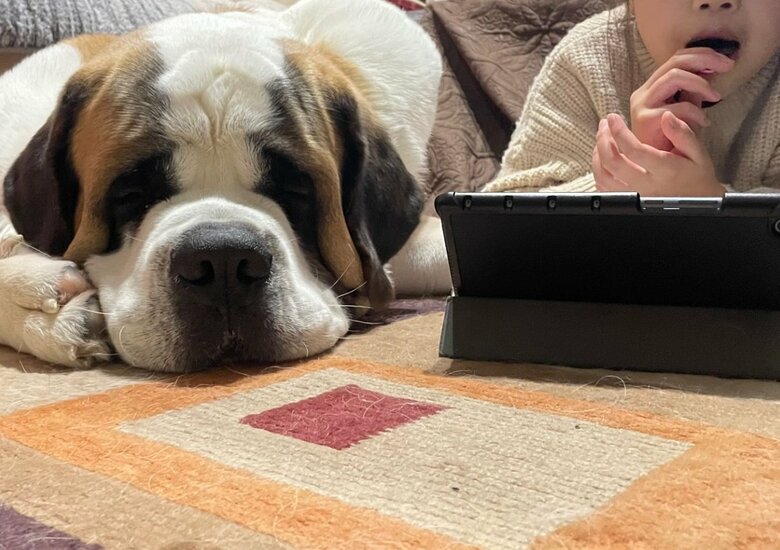 仲良しなふたり