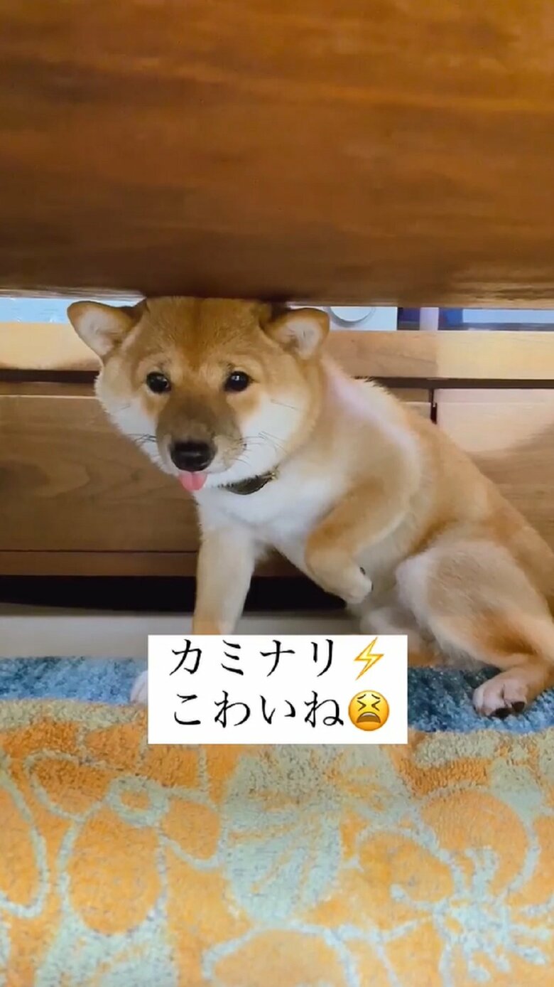 生まれて初めての雷体験
