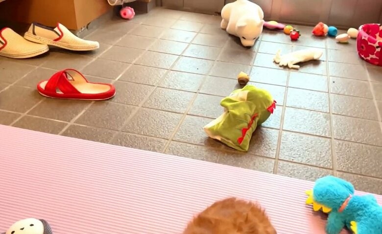 散らかしてしまった玄関