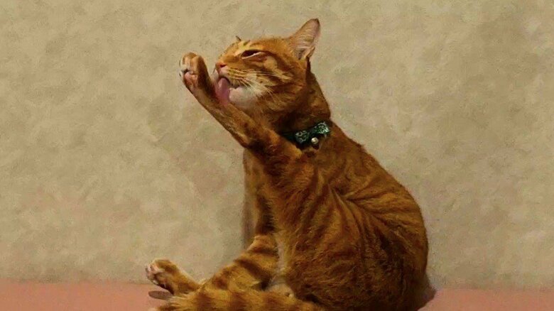 足の先まで入念に