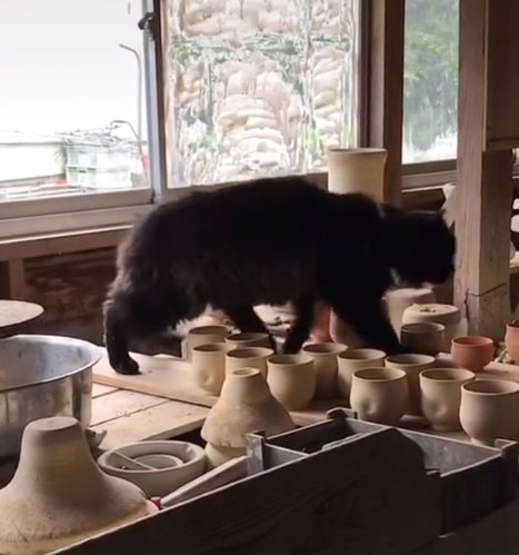 やはり作品の間を器用にスイスイ歩くネルソンくん