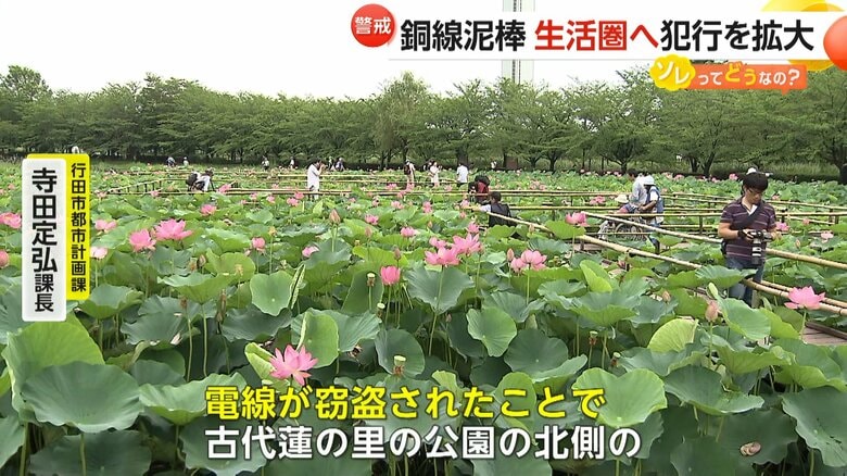 金属窃盗の被害に遭った観光施設「古代蓮の里」（埼玉・行田市）