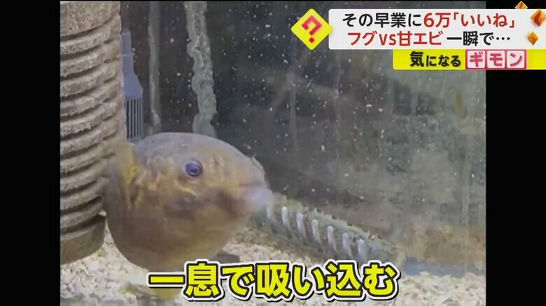 （「ぶるーへゔん」さん提供）
