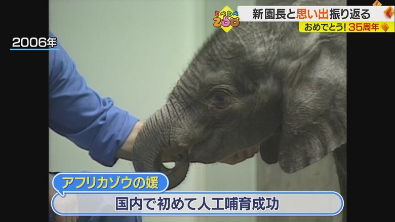 アフリカゾウの媛は国内初の人工保育成功例に