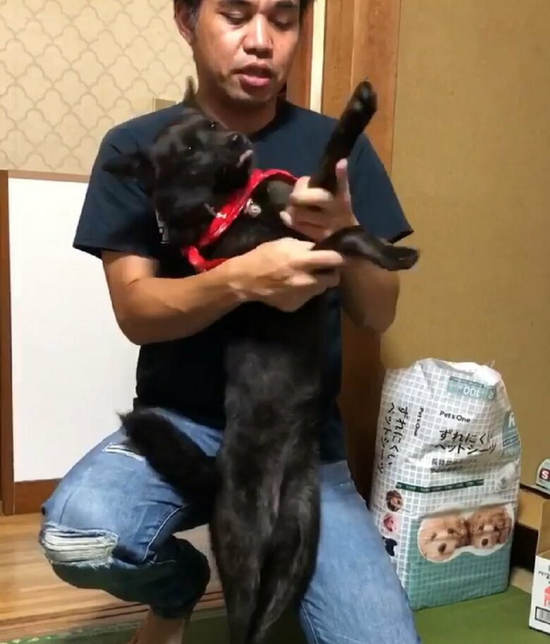 変なおじさんを踊らされるななちゃん