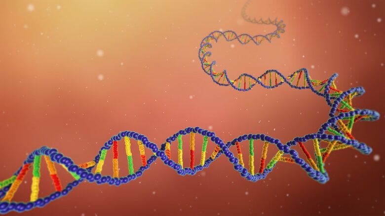 CGで作成した二重らせん図　　　