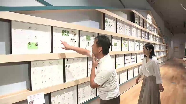 陸前高田市立博物館には2人が見つけた昆虫や貝の標本が展示されている