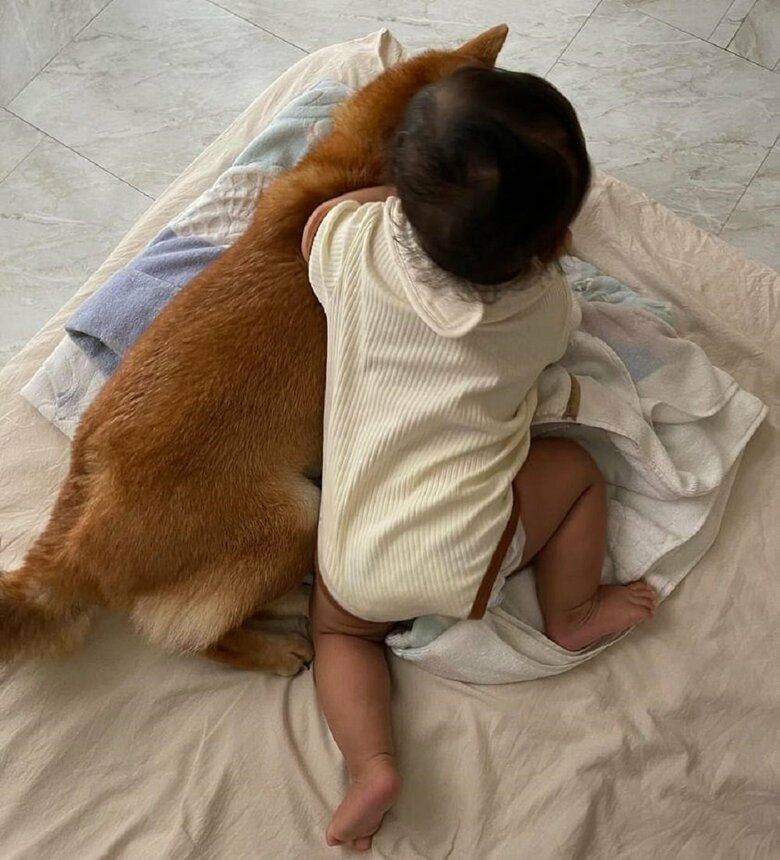 甘えん坊なむぎちゃんだが、娘さんには“姉”として対応