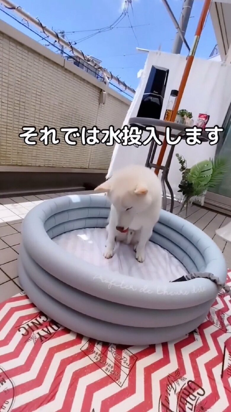 水を投入していく
