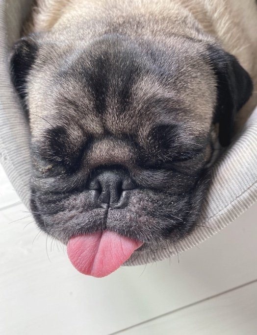 提供：ボンさん