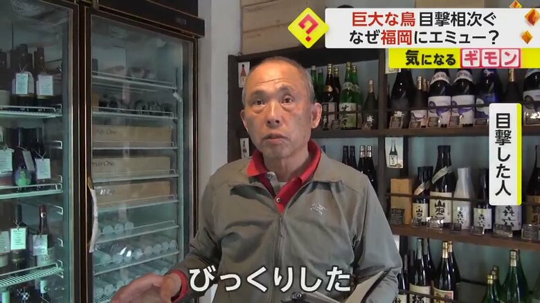 エミューに遭遇した様子を語る目撃者