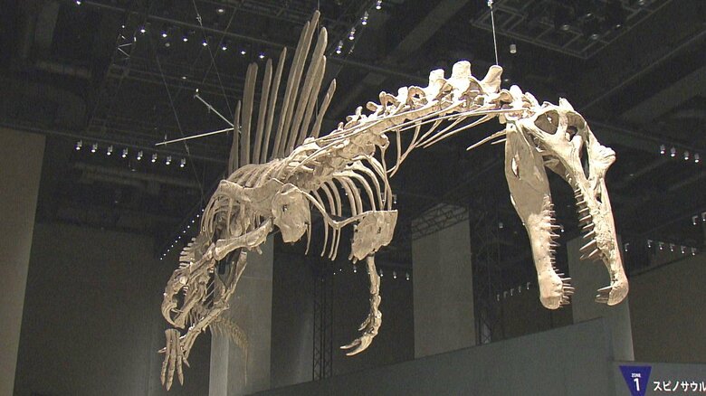 生体が謎に包まれていたスピノサウルス
