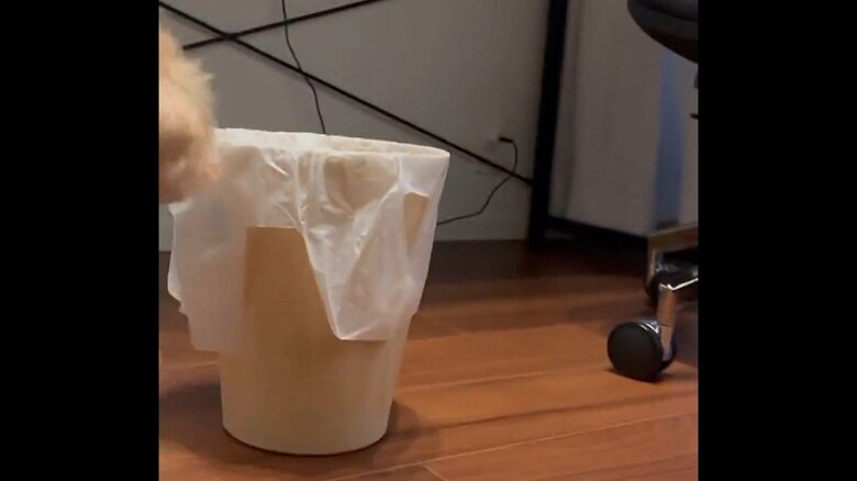 時計周りに移動し続けて…