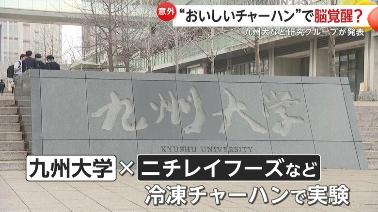 冷凍チャーハンを使って実験を行った九州大学とニチレイフーズなどの研究グループ