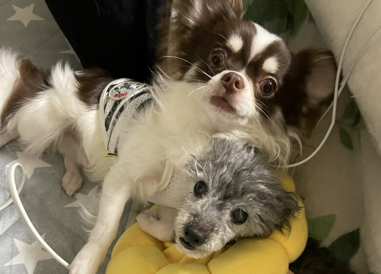 仲良し2ショット