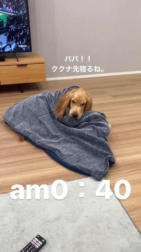 提供：関口和也さん