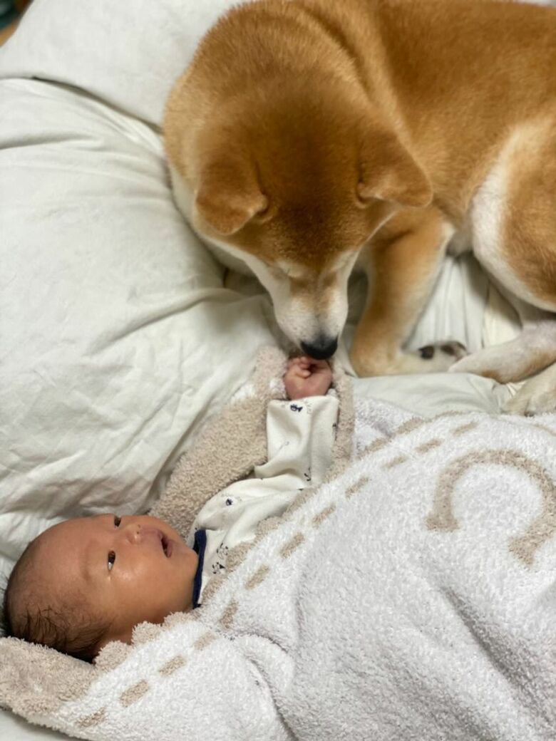 提供：torakichi602さん