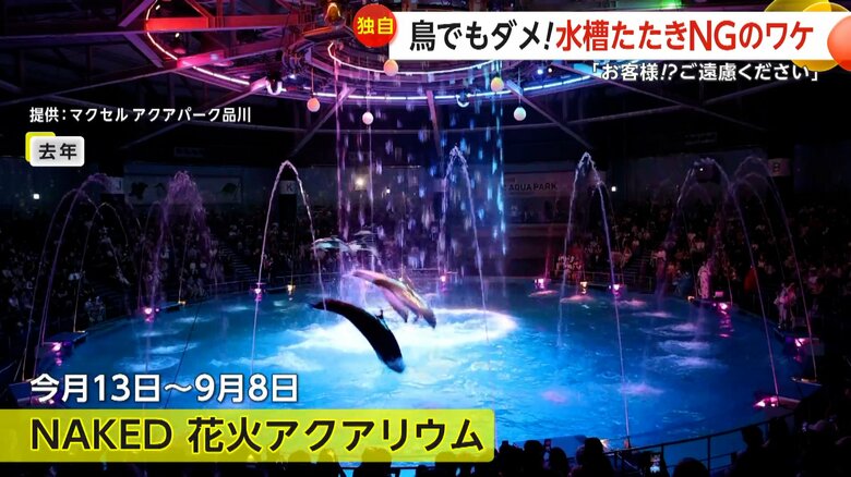 夏限定のイベントが始まり、多くの来館客が予想される「マクセル アクアパーク品川」