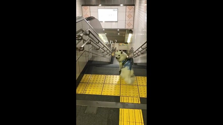 声かけに反応して後ろを振り返るとお父さんが！