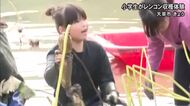 天草市の小学生がレンコンの収穫を体験